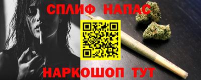 прущие грибы Ирбит