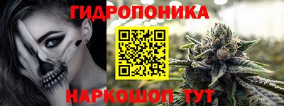 шишки Ипатово