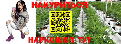 шишки Ипатово
