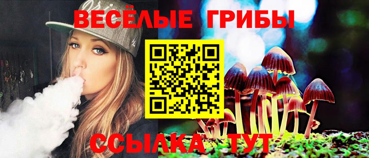 Галлюциногенные грибы Psilocybe  как найти   Нягань  Вход с VPN 
