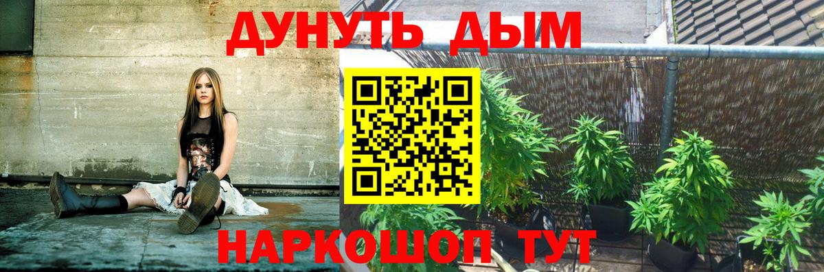Бошки марихуана конопля Нягань